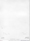 Historisches Foto (Rückseite) von Cracensigillatus acutirostrus (Moericke, 1889) (NHMW-AFW-GEO-BACHMAYER-FOTO-1990-0041-0354)